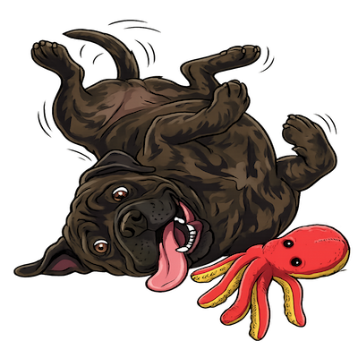 Big Dodge - A gentle Bull Mastiff with a baby blue collar